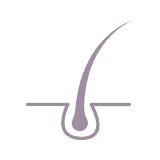 Saç